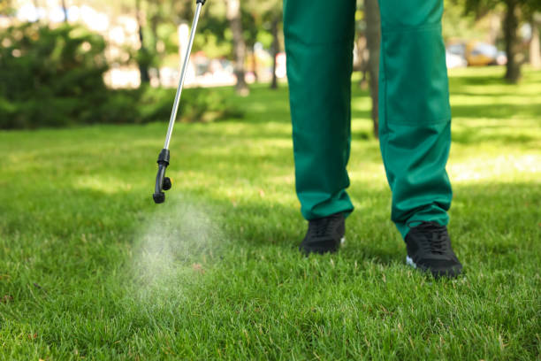 Pest Prevention Services in Bell Canyon, CA