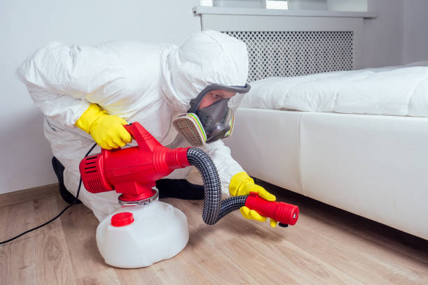 Best Cockroach Control Services  in Bell Nyon, CA