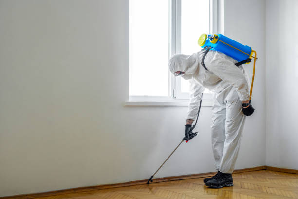 Best Commercial Pest Control Services  in Bell Nyon, CA
