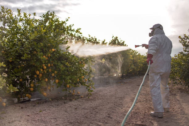 Reliable Bell Canyon, CA Pest Control Solutions