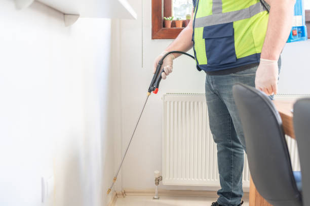 Best Best Pest Control Near Me  in Bell Nyon, CA