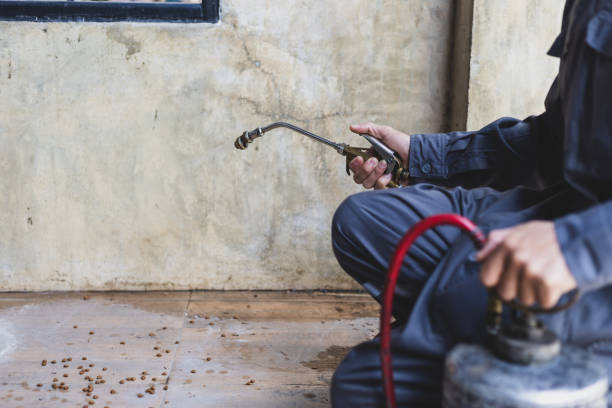 Best Best Pest Control Companies  in Bell Nyon, CA